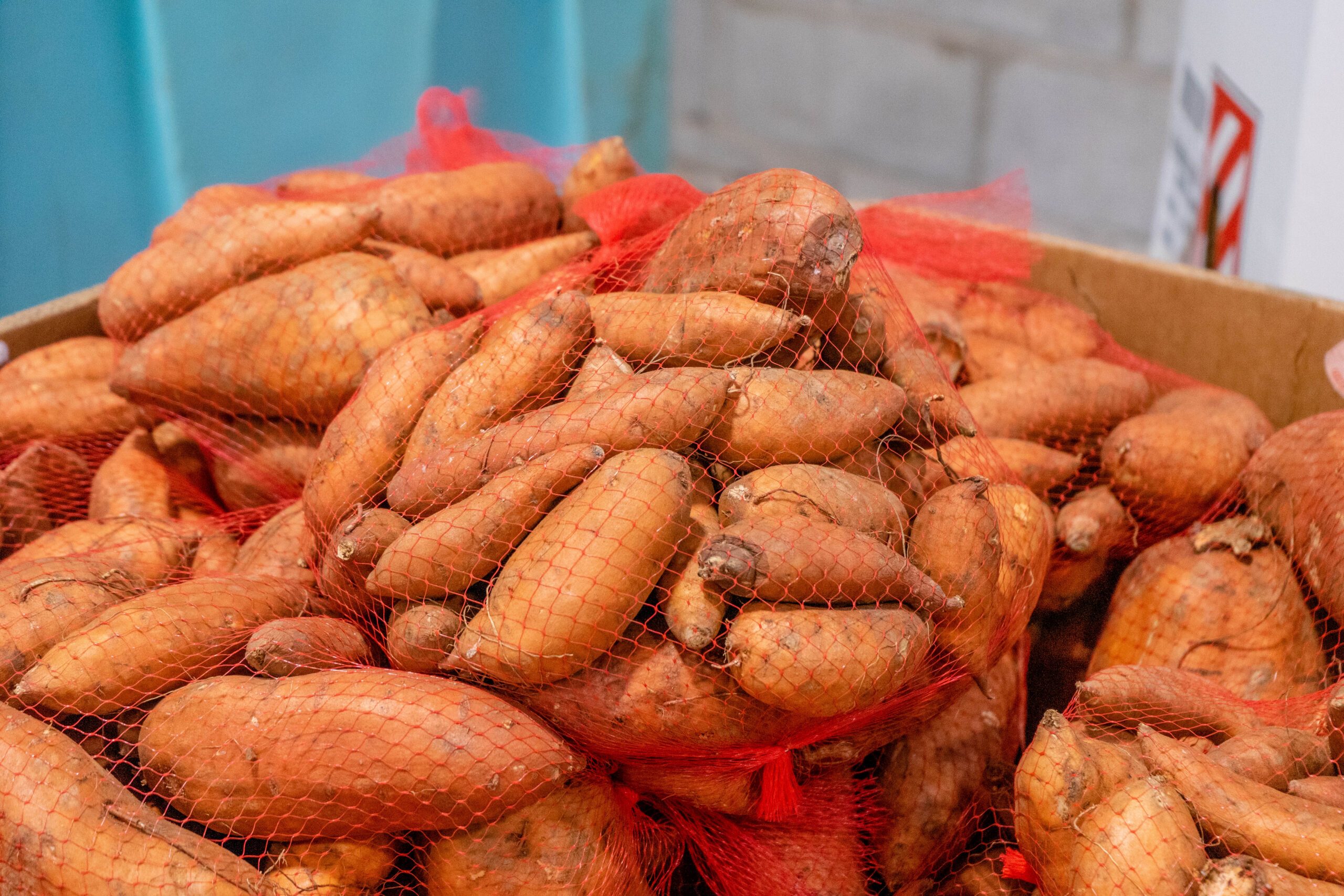 Culturally Responsive Food Program - sweet potatoes