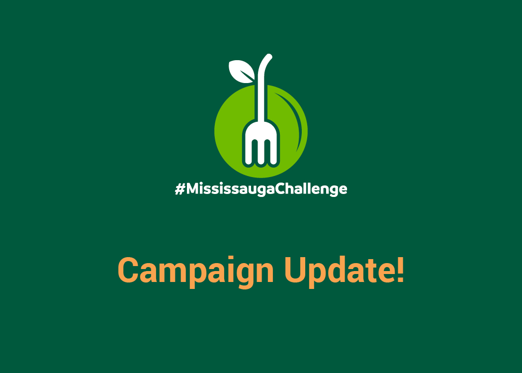 A campaign update for the #MississaugaChallenge