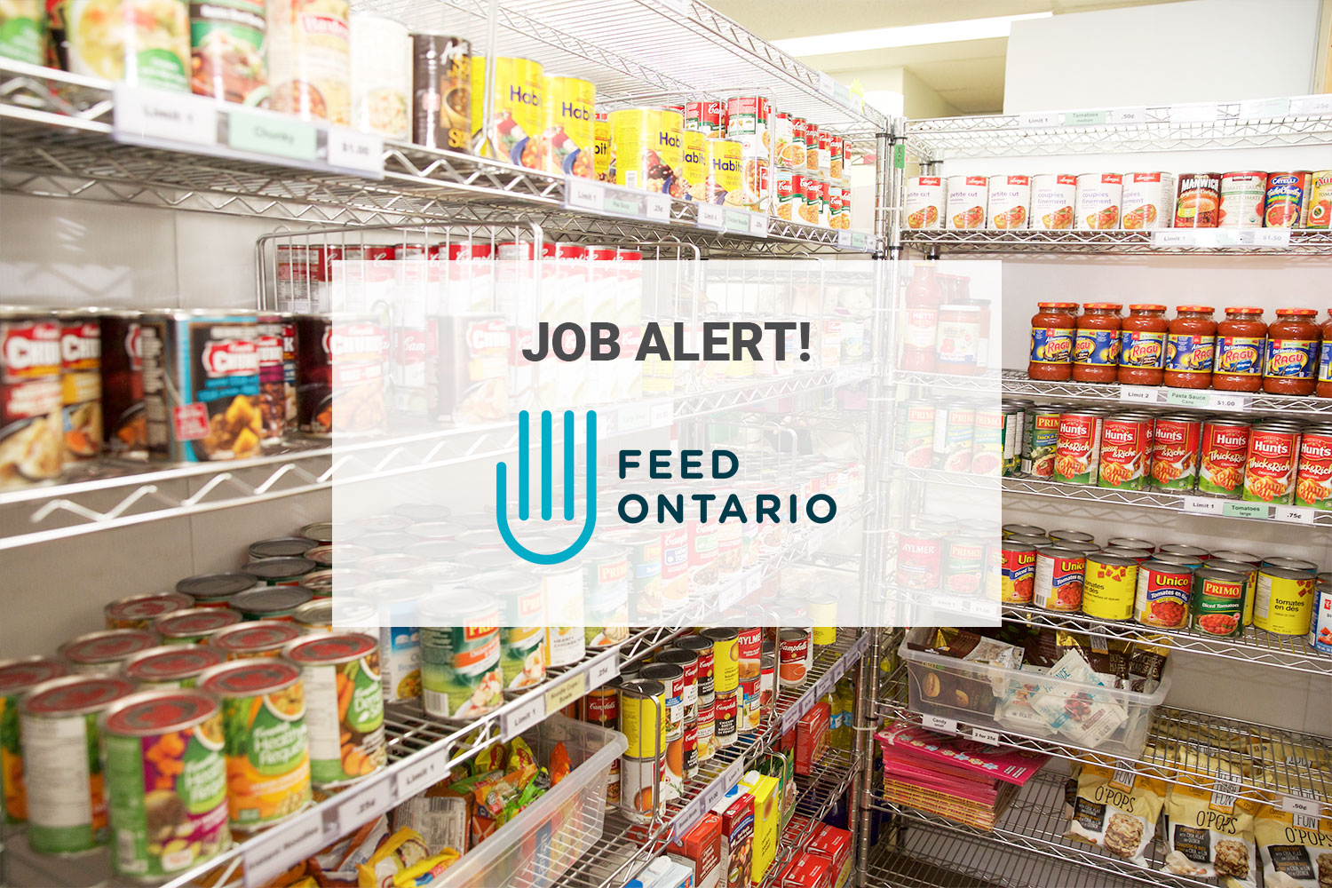 Feed Ontario is hiring