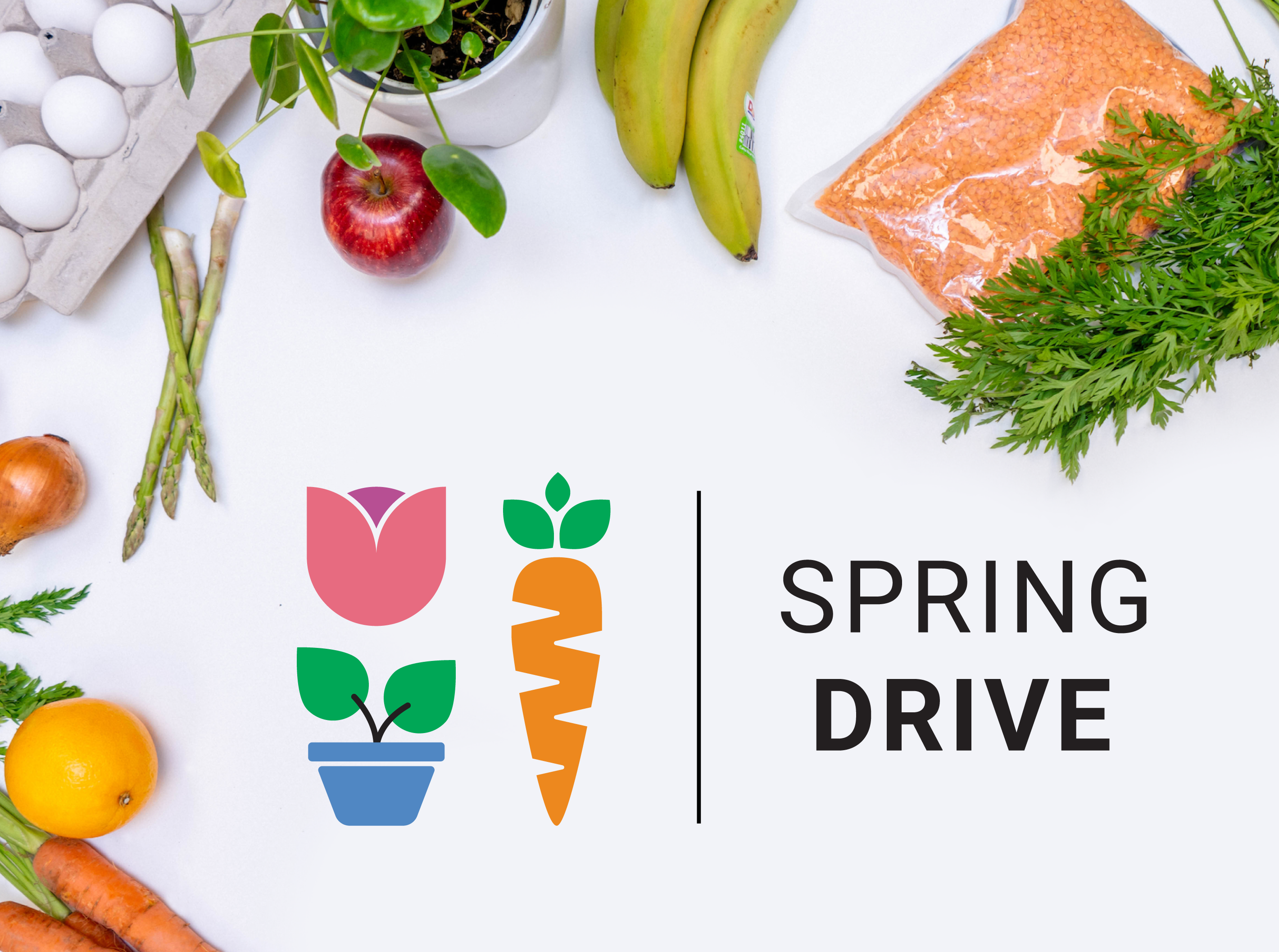 A carton of eggs, bananas, asparagus, an apple, orange, onion, a bag of lentils and a potted plant on a white background with the Spring Drive logo that contains an illustrated tulip, potted plant and carrot.