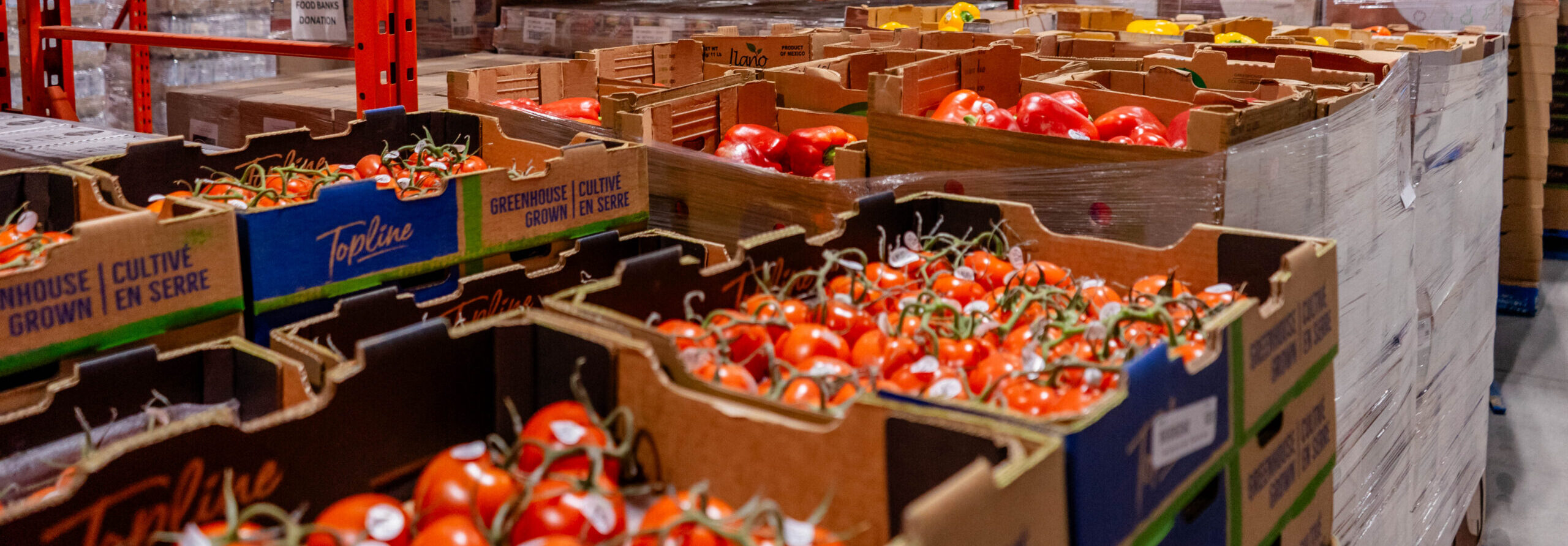 Pallets of fresh tomatoes and red and yellow bell peppers in Food Banks Mississauga warehouse.